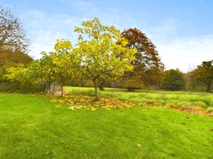 GARDEN OPEN PLAN TO ADJACENT FIELD- click for photo gallery